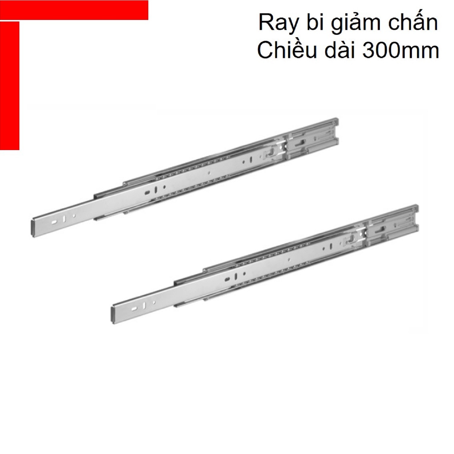 Ray bi giảm chấn Hafele chiều dài 300mm 494.02.061