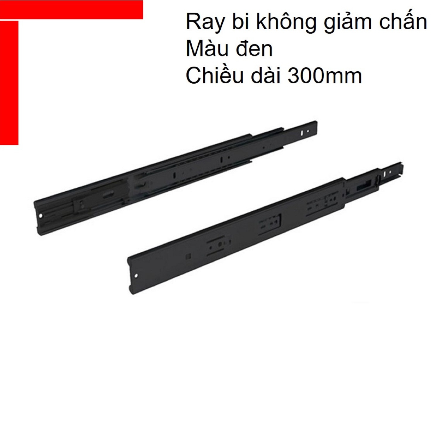 Ray bi không giảm chấn Hafele chiều dài 300mm màu đen 494.02.451